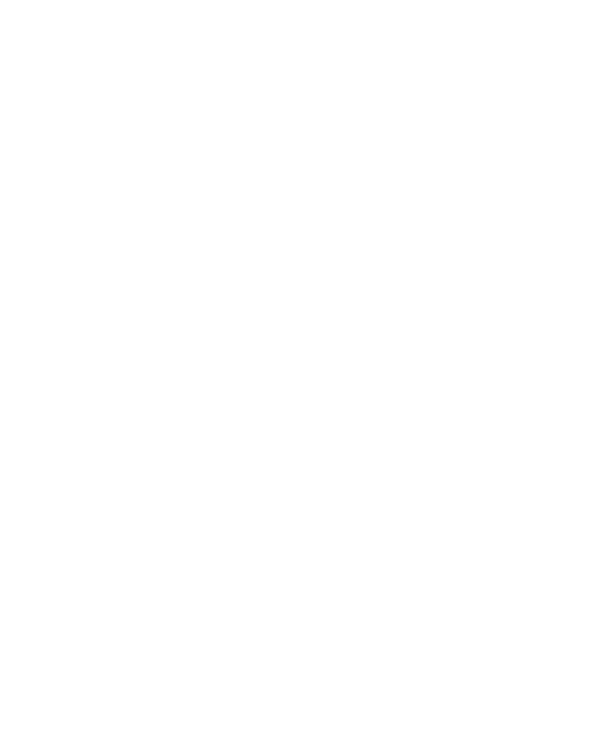 Wood-Service-logo-blanc logo woodservice
