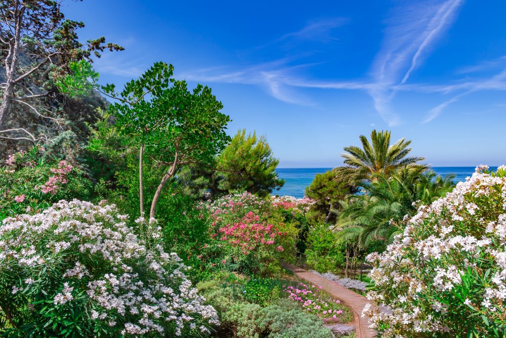 Création paysagère de l'architecte paysagiste dans le Var