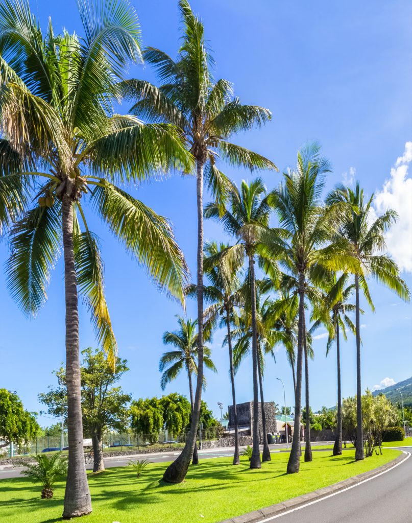 Jardinier dans le Var pour les entreprises et les collectivités